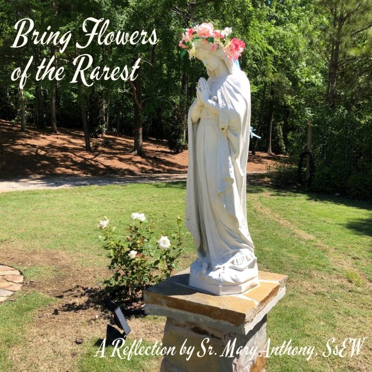 Bring Flowers of the Rarest