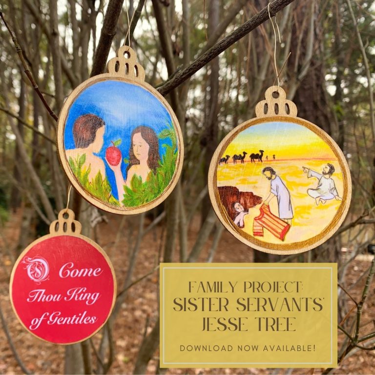 A Sister Servants’ Jesse Tree!