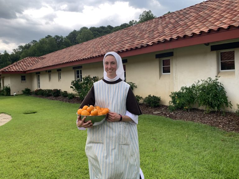 The Harvest is Abundant!