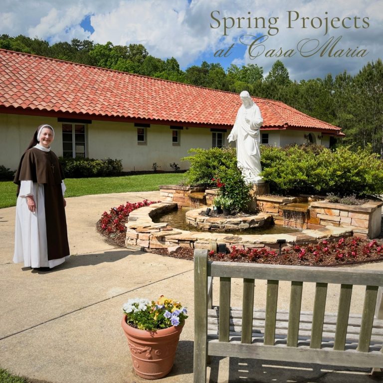 Spring Projects at Casa Maria